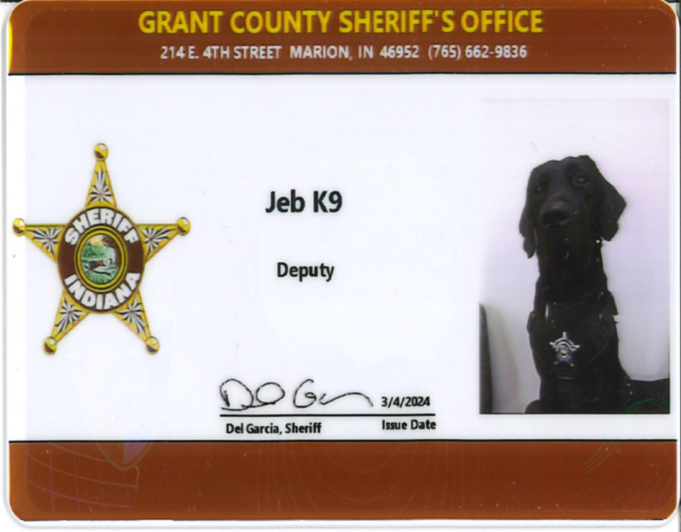 K-9 Jeb -ID provided by the Grant County Sheriff's Office