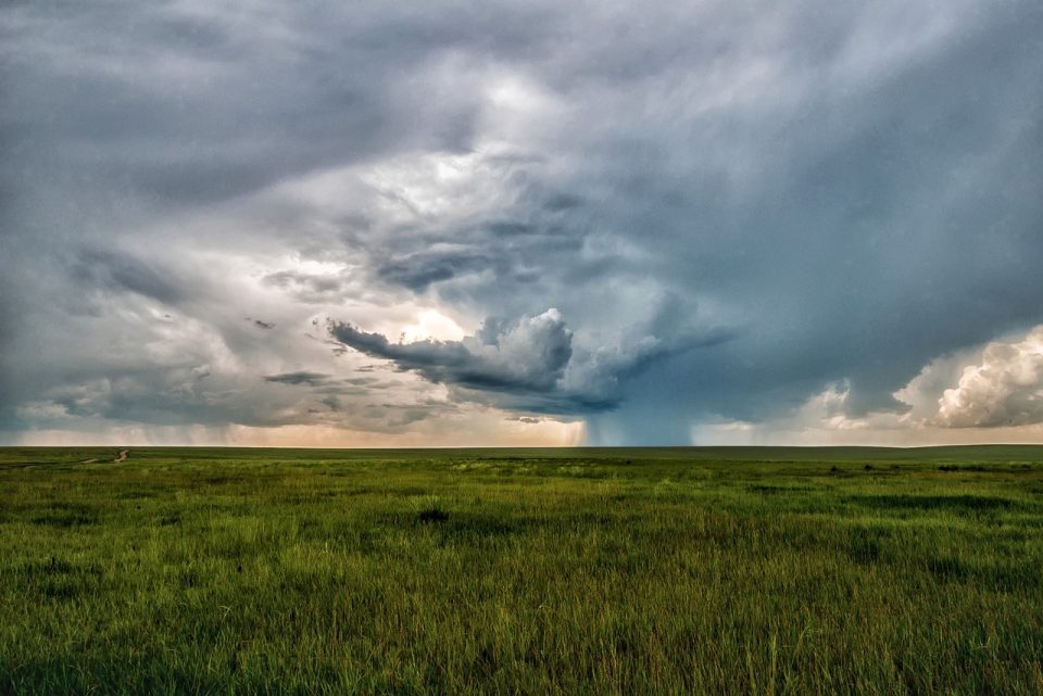 landscape, mongolia, mongolia eastern, dollars non plains, step, horizon, storm, meadow, grass, field, cloud, sky, nature, rain, storm, rain, rain, rain, rain, rain
