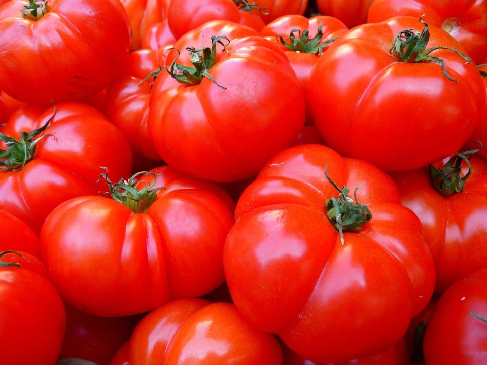 tomatoes, fruit, food, red tomatoes, ripe, organic, fresh, healthy, vitamin, nutrition, tomatoes, tomatoes, tomatoes, tomatoes, tomatoes