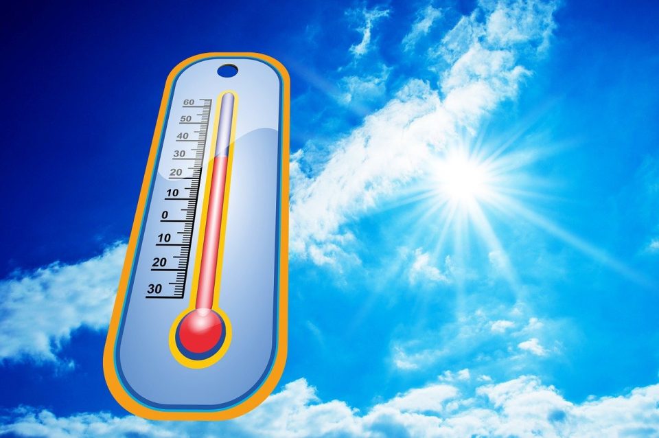 heat, summer, sun, heat record, heat free, humid, tropical, uv radiation, shine, heaven, nature, warmth, vacations, sea, sweat, photography