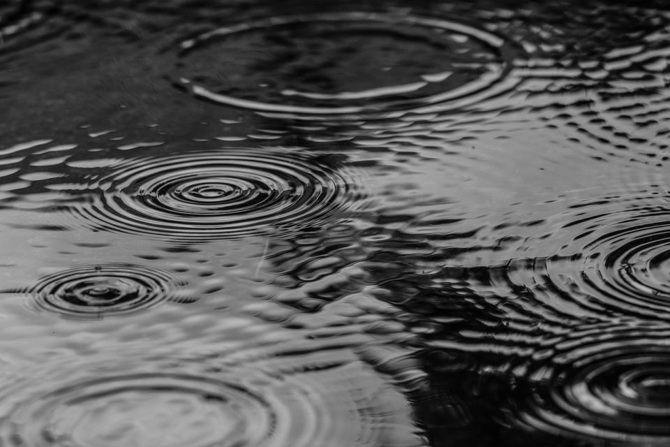 puddle, water, nature, rain, splash, monochrome