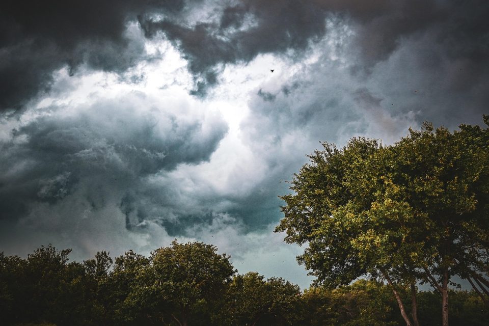 trees, garland, sky, clouds, unsettled, rain, storms, thunderstorms, windy, nature, outdoors, weather, texas