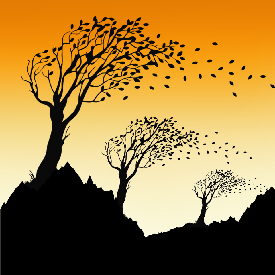 autumn, sheets, wind, mountain, nature, floors, landscape, trees, atmosphere, branch, valley