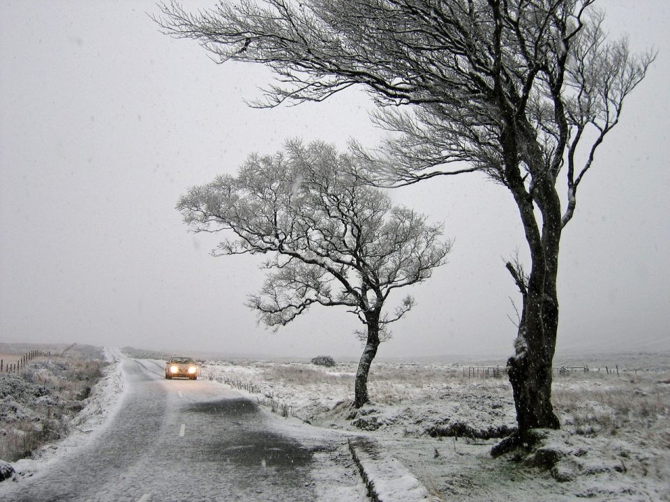 ireland, snow, snowing, snow landscape, winter, storm, trees, car, auto, vehicle, lights on, car wallpapers, wind, windy, nature, outside, outdoor, season, gray nature, gray car, gray landscape, gray tree, gray light, gray snow, gray storm, gray lights