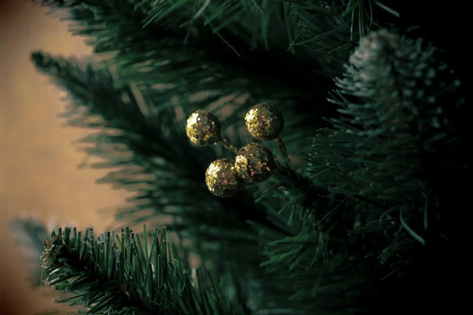 christmas tree, spruce, christmas, decoration, green, gold, nature, evergreen, coniferous, tree, december, decor