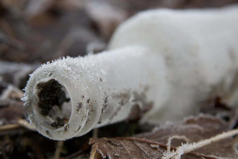 frozen, bottle, fallen, nature, lost, ice, full hd wallpaper, crystals, covered, 4k wallpaper, frost, 4k wallpaper 1920x1080, frosted, wallpaper hd, cool, mac wallpaper, icy, cold, beautiful wallpaper, climate, laptop wallpaper, outdoors, dried, leaves, background, wallpaper 4k, freezing, free background, desktop backgrounds, free wallpaper, windows wallpaper, freeze, wet, white, snowy, beverage, hd wallpaper, container, glass, gray glass, gray leaf, cool backgrounds, gray bottle, gray glasses, gray leaves