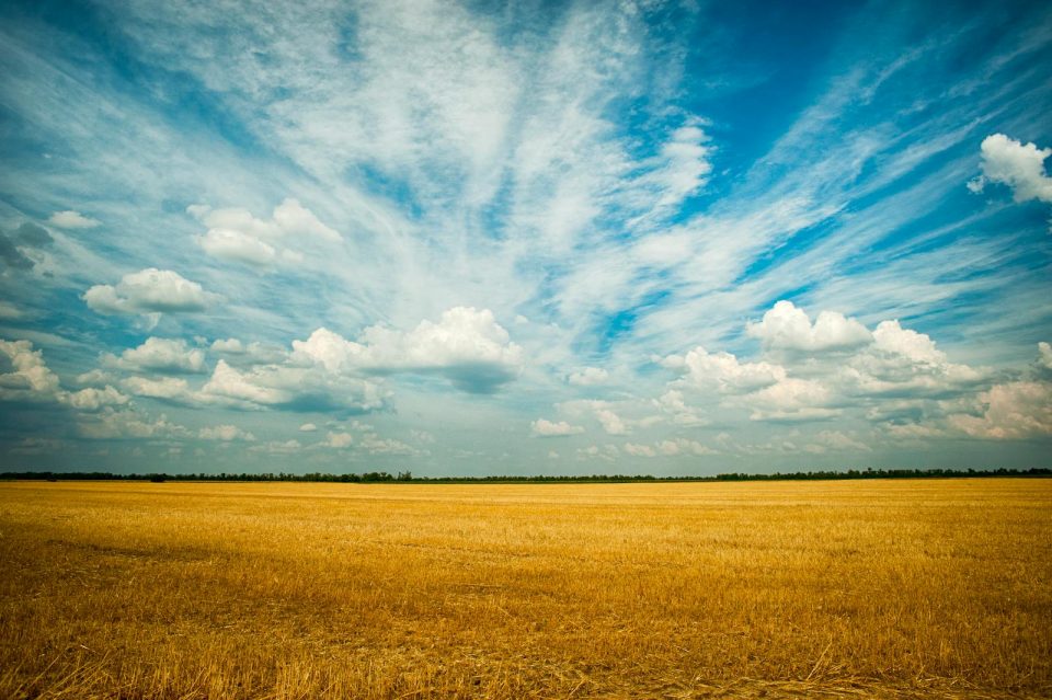 Vast agricultural field in Ukraine under a striking sky of clouds and blue hues.