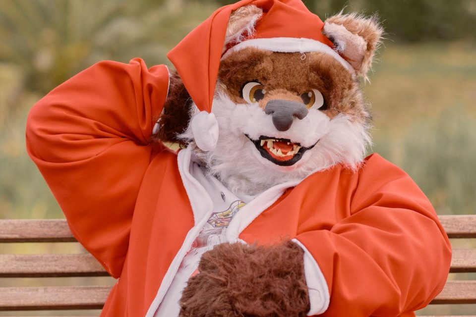 A person dressed as a fox in a Santa Claus costume outdoor setting.