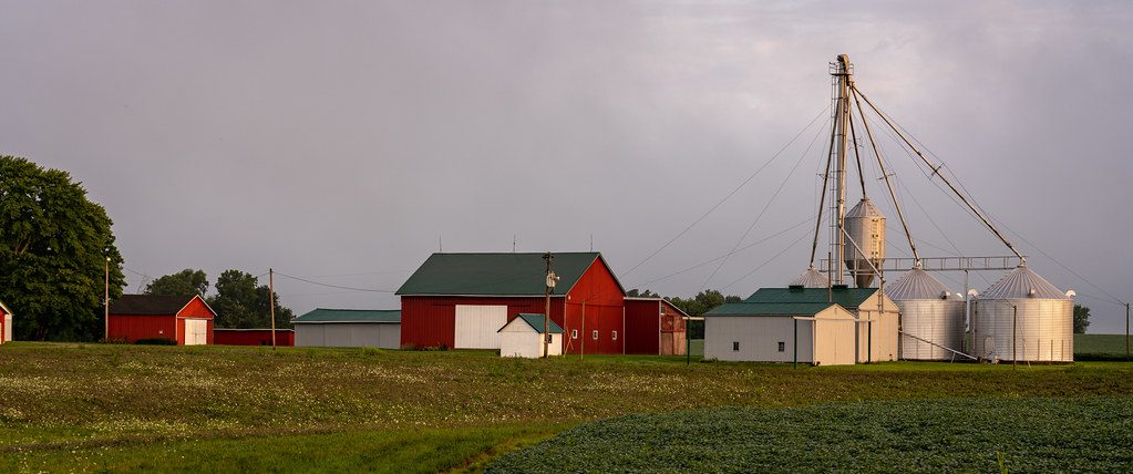 Indiana Farmers Lost More Than $600 Million to China Tariffs, Study Finds