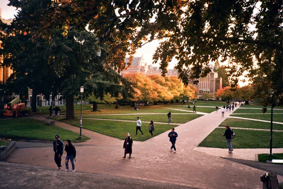 people walking on a path in a park