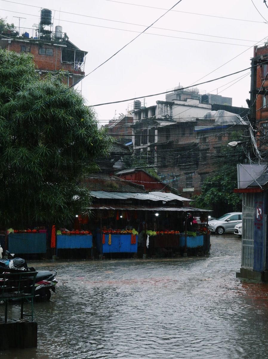 a river with buildings along it