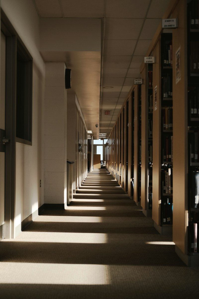 A long, sunlit library hallway